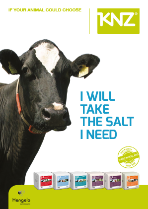 KNZ Leaflet Dairy